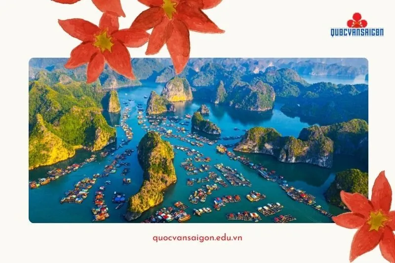 Đảo Cát Bà