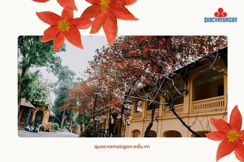 Khu phố cổ Hải Phòng